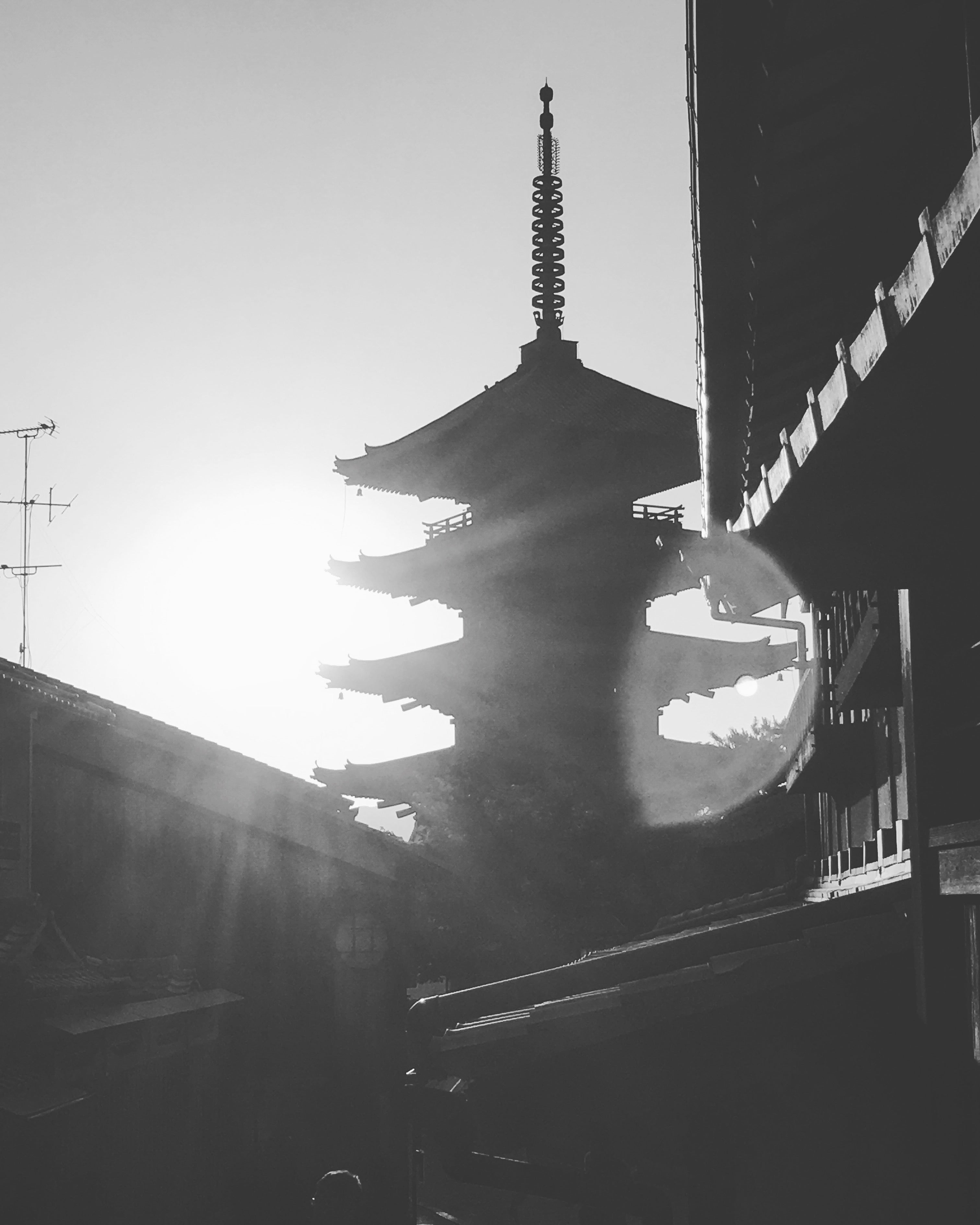 The Kyoto Collection
